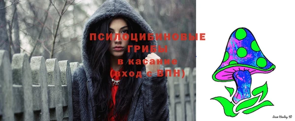 спайс Дубна