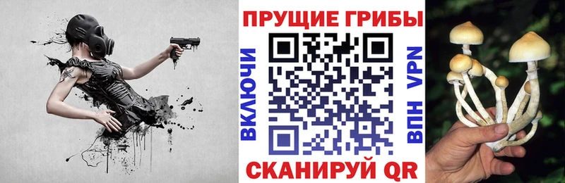 Галлюциногенные грибы ЛСД  KRAKEN как войти  Кунгур 