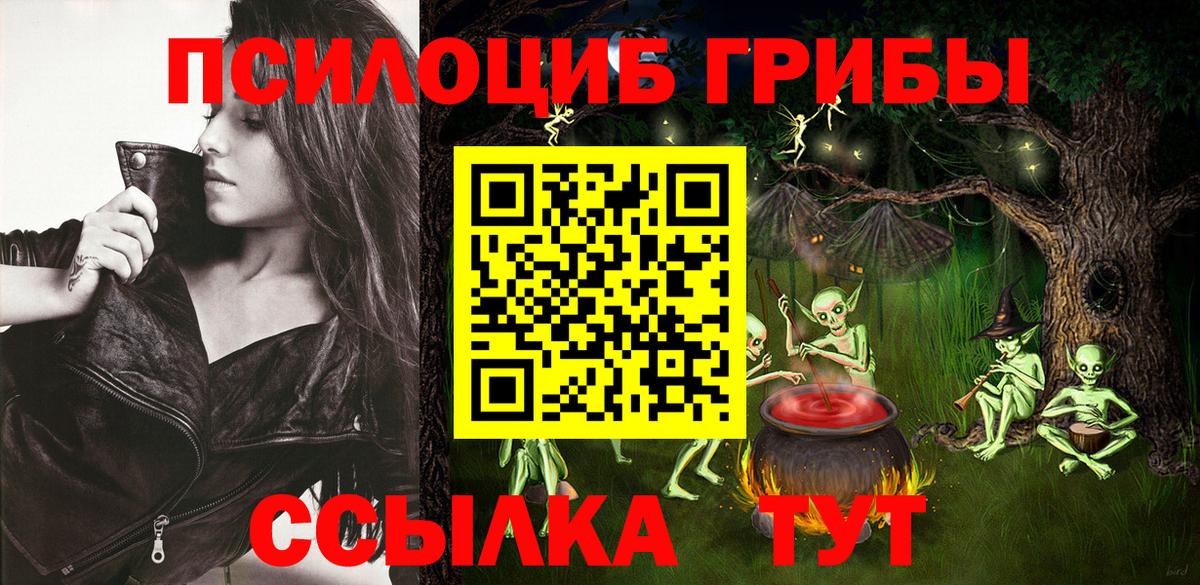 Кунгур  Псилоцибиновые грибы Psilocybe  Вход с VPN 