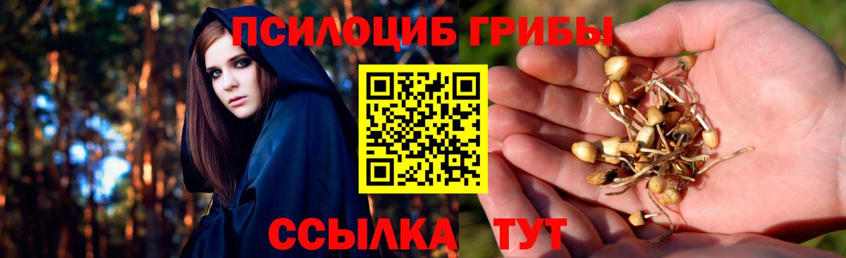 Галлюциногенные грибы GOLDEN TEACHER Кунгур