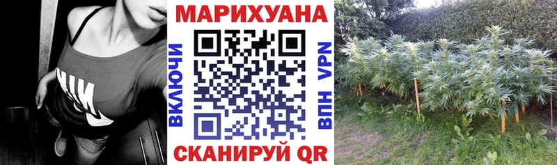 Бошки марихуана семена Кунгур